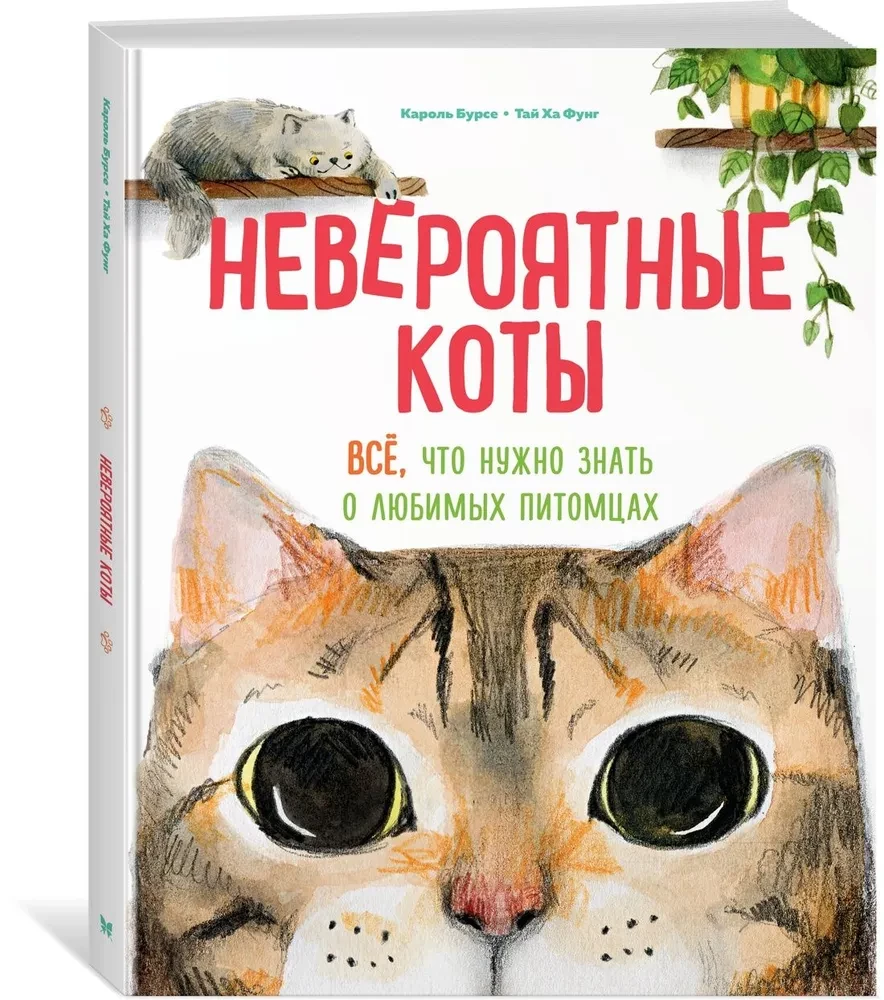 Incredible Cats. Everything You Need to Know About Your Favorite Pets