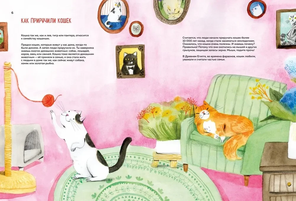 Incredible Cats. Everything You Need to Know About Your Favorite Pets