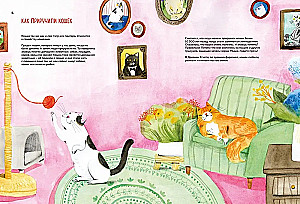 Incredible Cats. Everything You Need to Know About Your Favorite Pets
