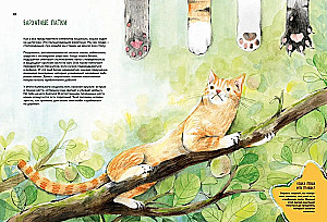 Incredible Cats. Everything You Need to Know About Your Favorite Pets