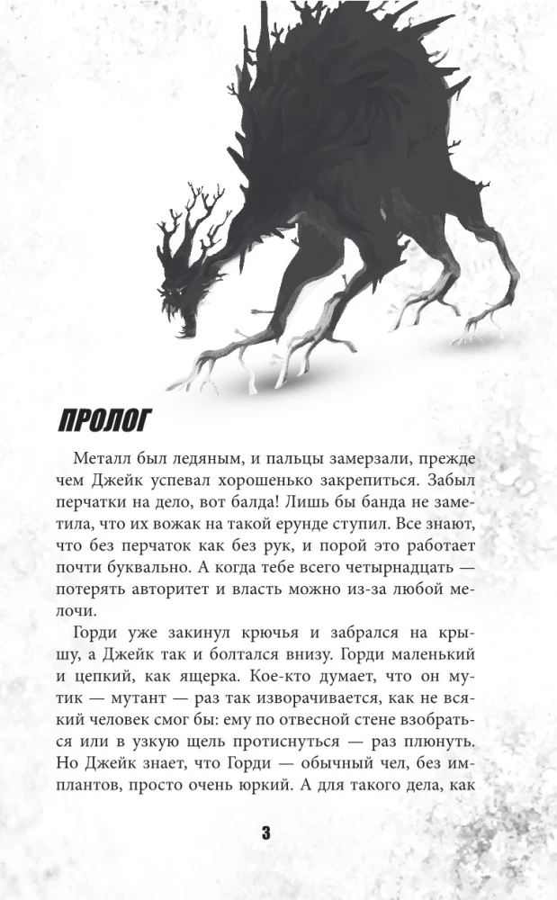 Bullet Echo. Echo płomienia