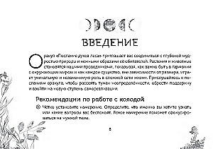 Oracle Przesłanie duchów lasu (64 karty + broszura)