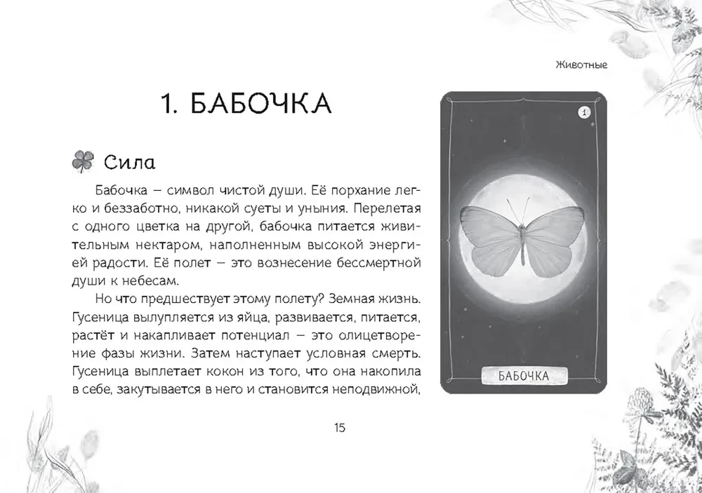 Oracle Przesłanie duchów lasu (64 karty + broszura)
