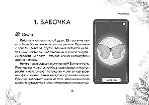 Oracle Przesłanie duchów lasu (64 karty + broszura)