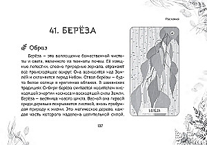 Oracle Przesłanie duchów lasu (64 karty + broszura)