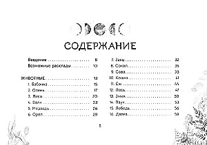 Оракул Послание духов леса (брошюра)