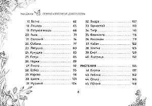 Оракул Послание духов леса (брошюра)