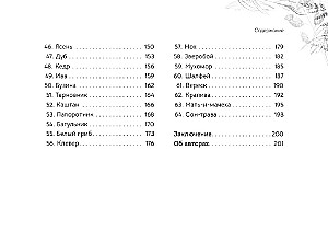 Оракул Послание духов леса (брошюра)