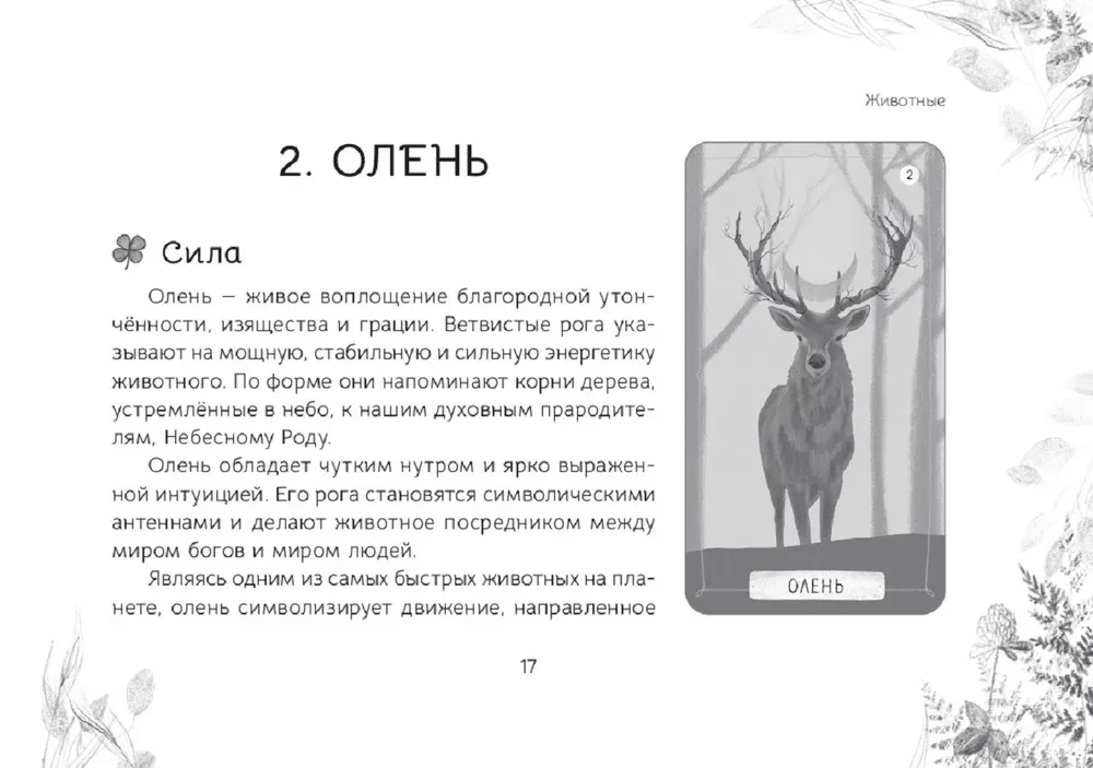 Оракул Послание духов леса (брошюра)