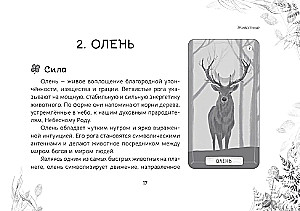 Оракул Послание духов леса (брошюра)