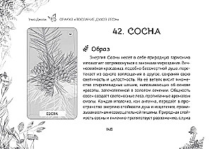 Оракул Послание духов леса (брошюра)