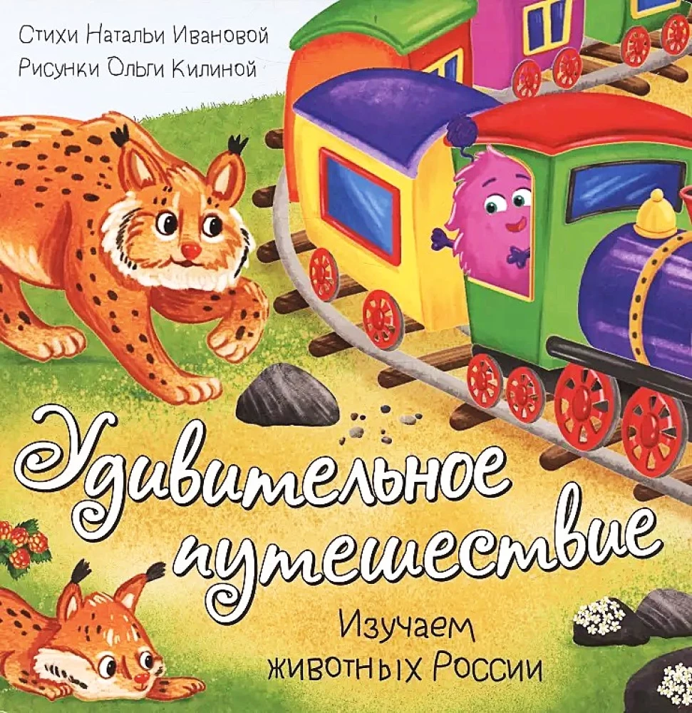 Book with Windows - Amazing Journey