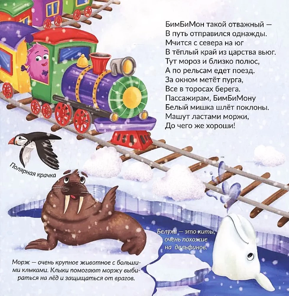 Book with Windows - Amazing Journey