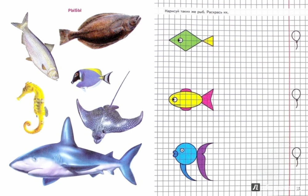 Geometria wokół nas. Rysowanie w kratkę dla dzieci 5—7 lat