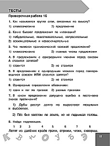 Russische Sprache 4. Klasse. Überprüfungen und Kontrollen
