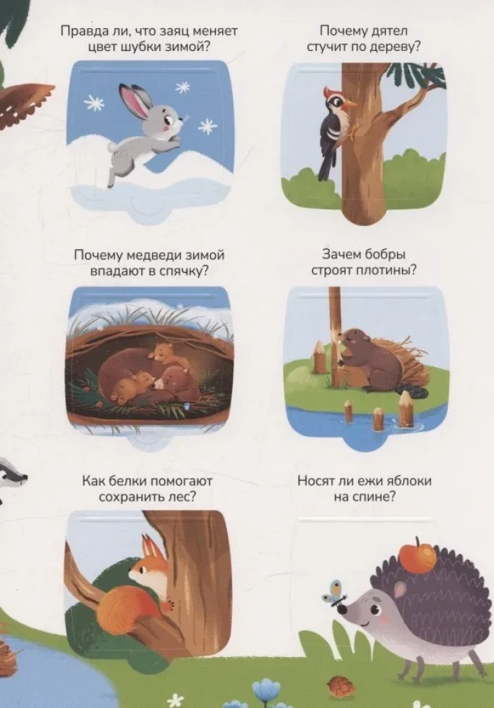 Zināšanas logi. Dzīvnieki