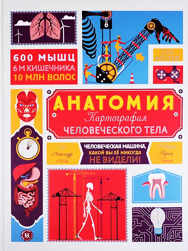 Anatomija. Cilvēka ķermeņa kartogrāfija