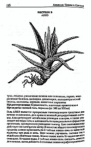 Kräuter und Gewürze