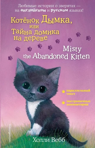 Misty the Abandoned Kitten