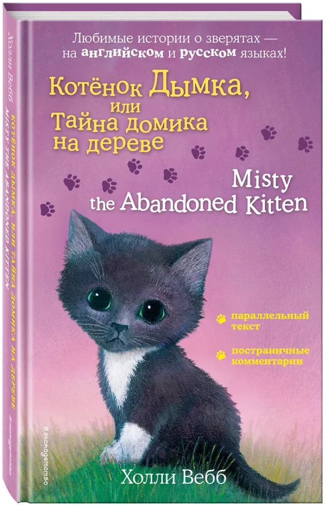 Kassipoeg Dõmka, või Saladus puumajas = Misty the Abandoned Kitten