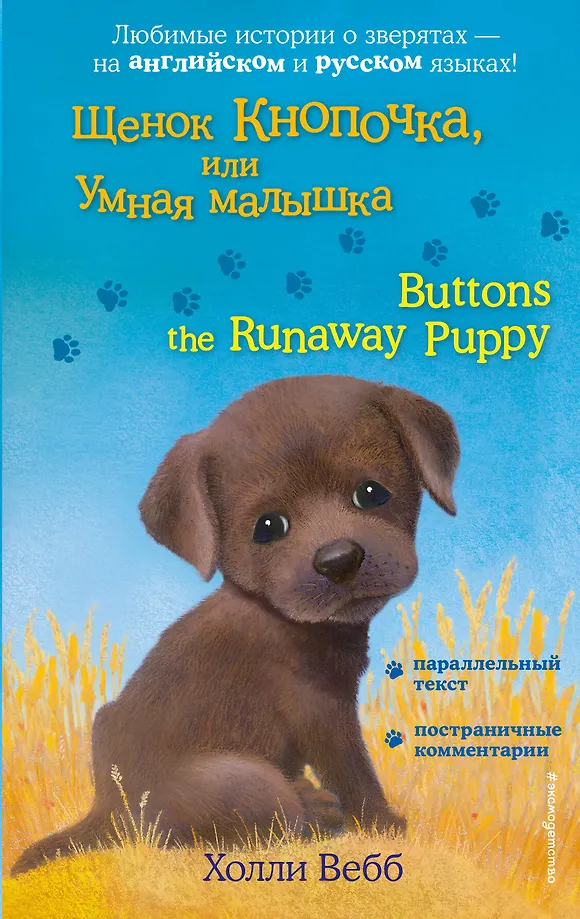 Kucēns Knapītis, vai Gudrā meitene = Buttons the Runaway Puppy