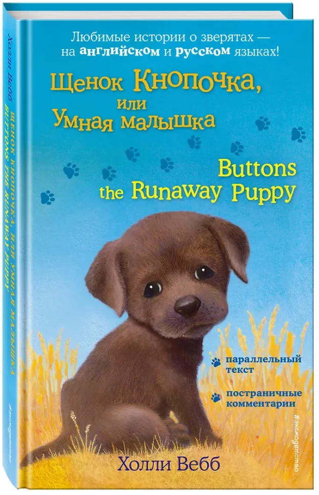 Kucēns Knapītis, vai Gudrā meitene = Buttons the Runaway Puppy