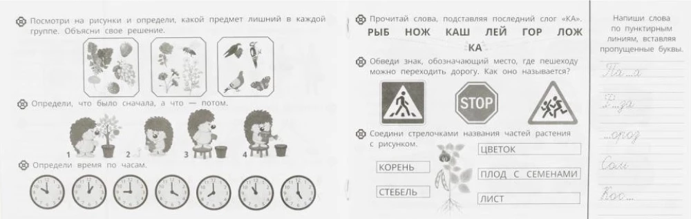 Užduotys mažiesiems. Kompleksinė plėtra. 6-7 metai