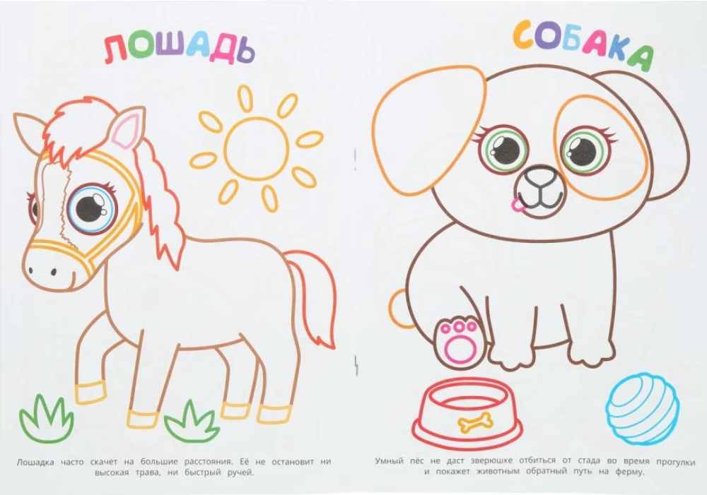Who Lives on the Farm? First Coloring Book