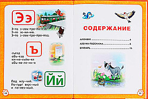 Alphabet, ABC, Primer. Book with Large Letters