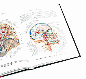 Inimese anatoomia atlas. Köide 3. Neuroloogia. Esteesiaoloogia