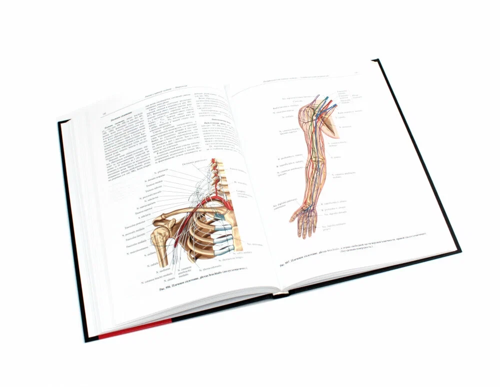Inimese anatoomia atlas. Köide 3. Neuroloogia. Esteesiaoloogia