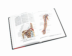 Inimese anatoomia atlas. Köide 3. Neuroloogia. Esteesiaoloogia