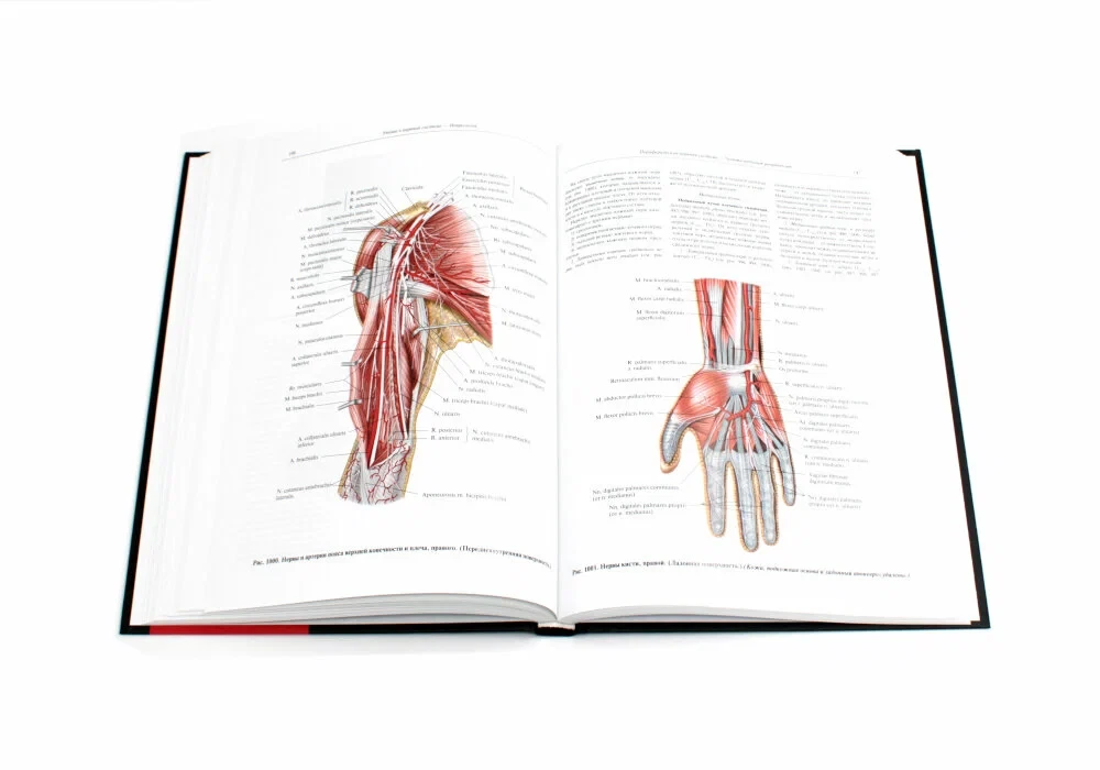 Inimese anatoomia atlas. Köide 3. Neuroloogia. Esteesiaoloogia
