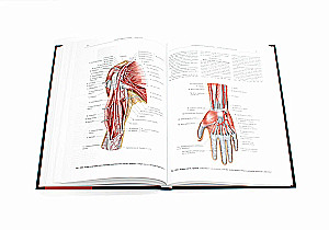 Inimese anatoomia atlas. Köide 3. Neuroloogia. Esteesiaoloogia