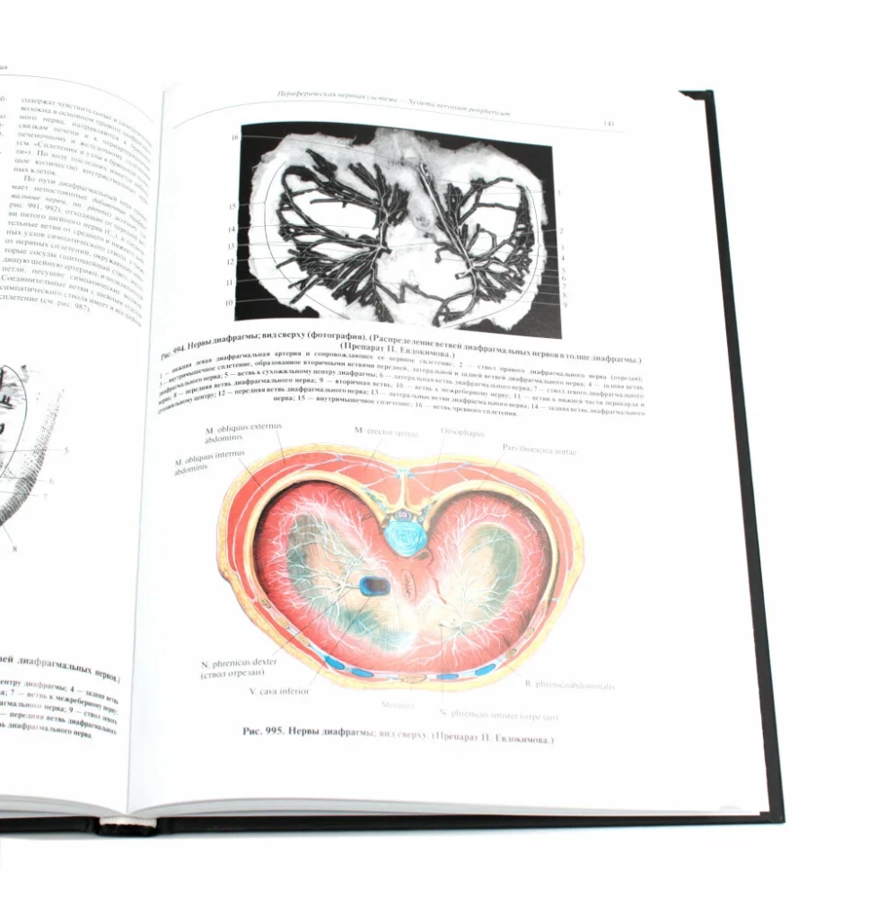 Inimese anatoomia atlas. Köide 3. Neuroloogia. Esteesiaoloogia