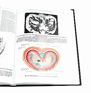 Inimese anatoomia atlas. Köide 3. Neuroloogia. Esteesiaoloogia
