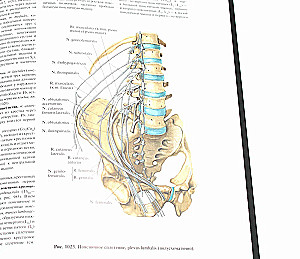 Inimese anatoomia atlas. Köide 3. Neuroloogia. Esteesiaoloogia