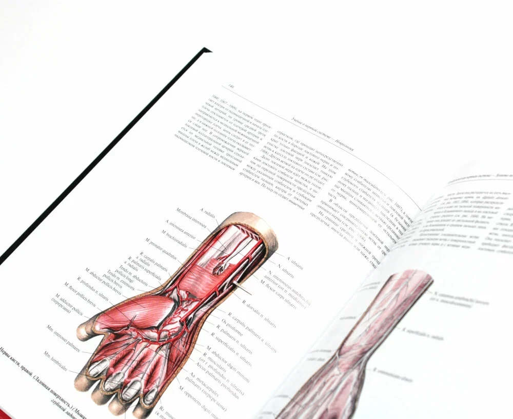 Inimese anatoomia atlas. Köide 3. Neuroloogia. Esteesiaoloogia