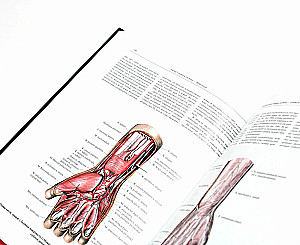 Inimese anatoomia atlas. Köide 3. Neuroloogia. Esteesiaoloogia