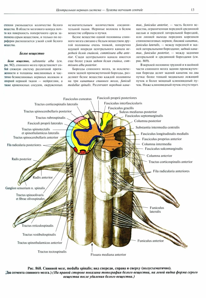 Inimese anatoomia atlas. Köide 3. Neuroloogia. Esteesiaoloogia