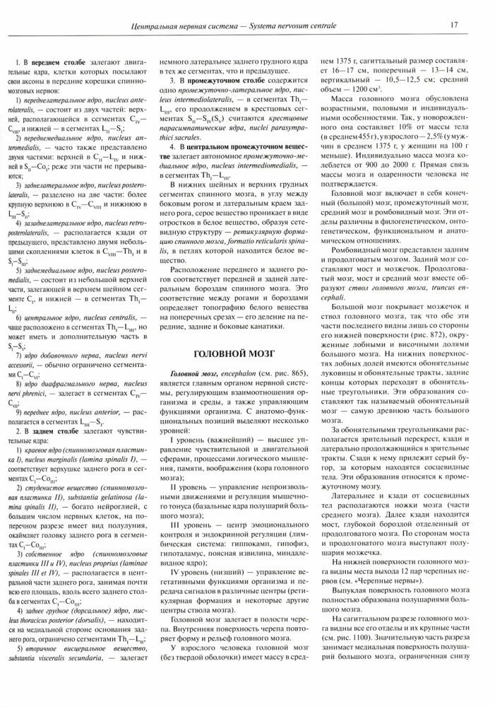 Inimese anatoomia atlas. Köide 3. Neuroloogia. Esteesiaoloogia