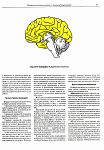Inimese anatoomia atlas. Köide 3. Neuroloogia. Esteesiaoloogia
