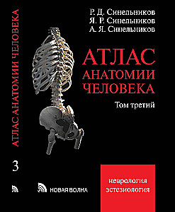Inimese anatoomia atlas. Köide 3. Neuroloogia. Esteesiaoloogia