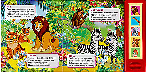 Muzyczna książeczka - zabawka dla maluchów - Zoo
