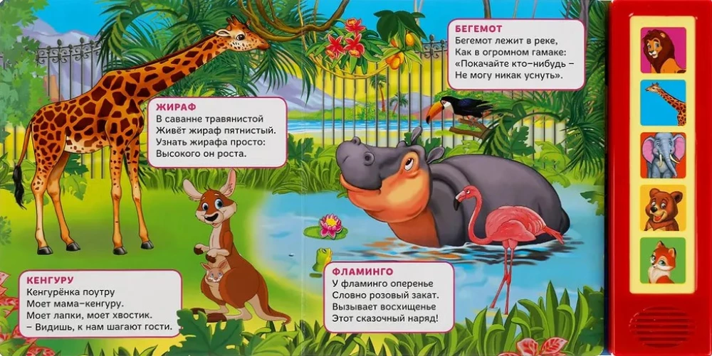 Muzyczna książeczka - zabawka dla maluchów - Zoo