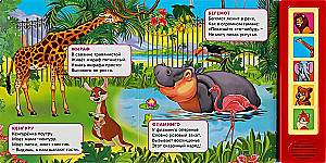 Muzyczna książeczka - zabawka dla maluchów - Zoo