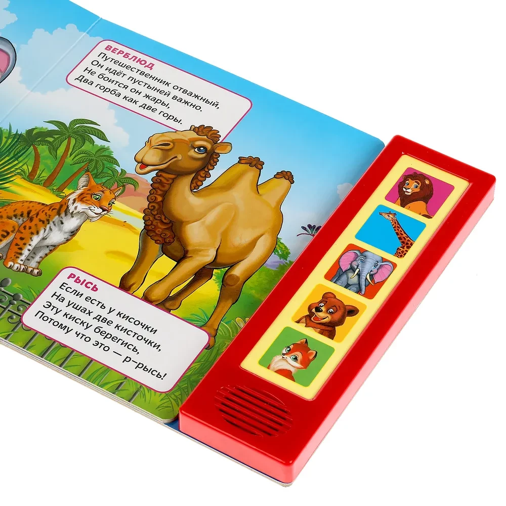 Muzyczna książeczka - zabawka dla maluchów - Zoo