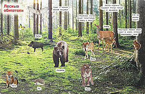 Zwierzęta. 50 okienek dla maluchów