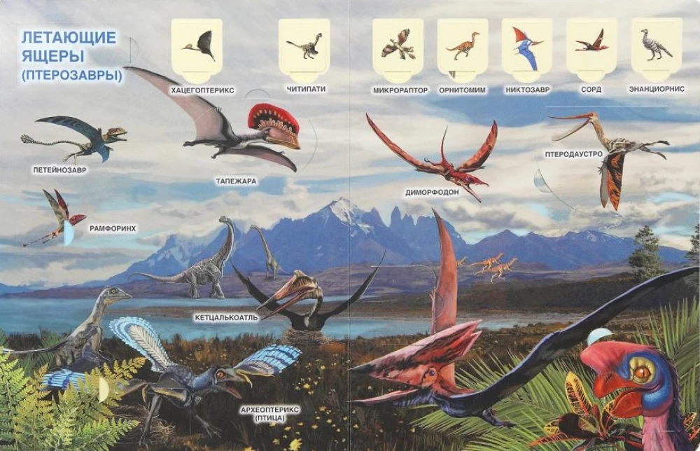 Secrets of Dinosaurs. 50 Windows for Little Ones