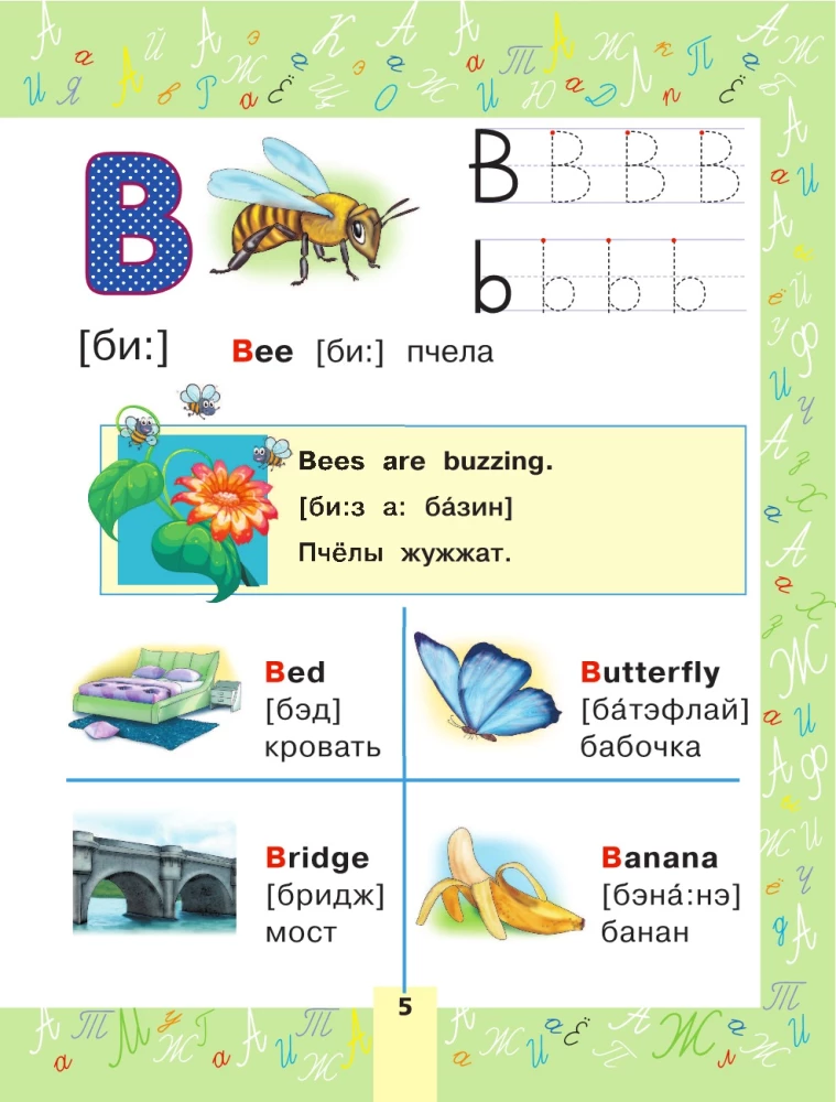Englisch. Bildwörterbuch